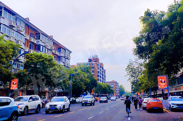 LED燈桿屏,燈桿屏 LED燈桿屏,燈桿屏