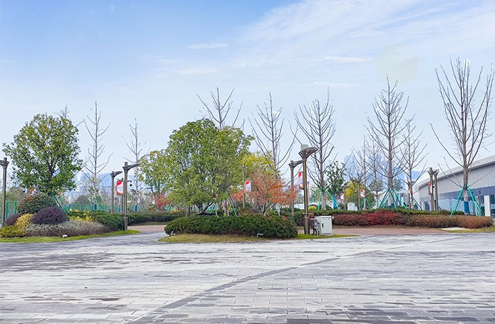 LED燈桿屏 LED燈桿屏