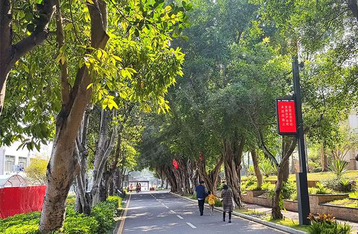 LED燈桿屏 LED燈桿屏