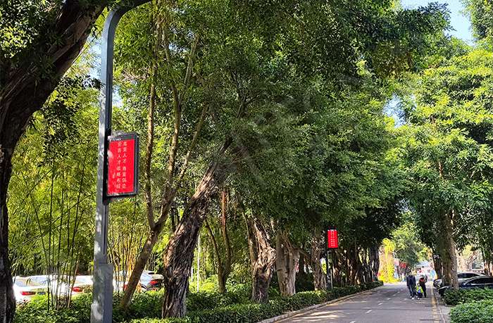 LED燈桿屏 LED燈桿屏