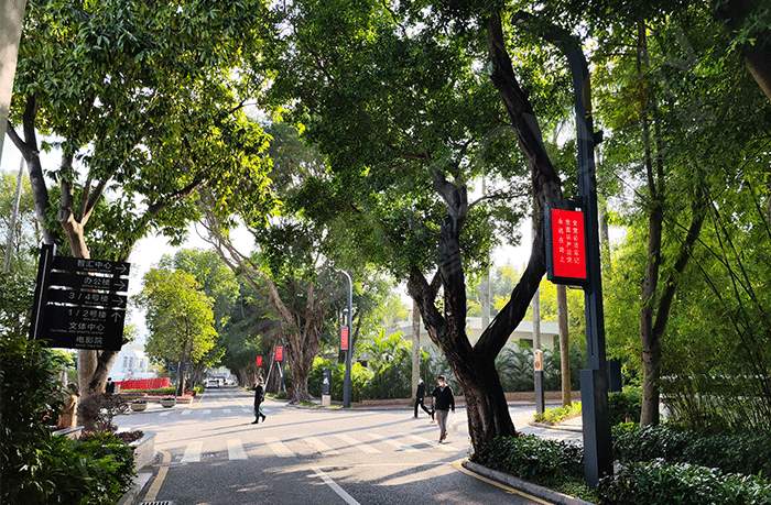 LED燈桿屏 LED燈桿屏