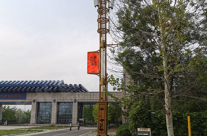 LED燈桿屏 LED燈桿屏